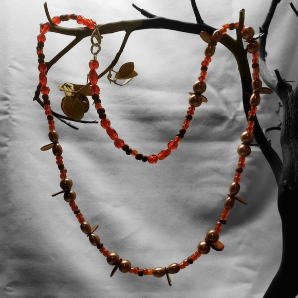 Wisconsin Monarch's Red Night/Sailor's Delight - Picture 1 of 5